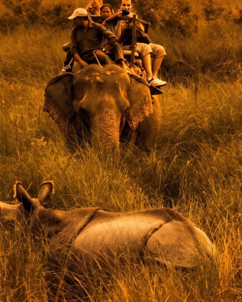 Parc national de Koshi Tappu