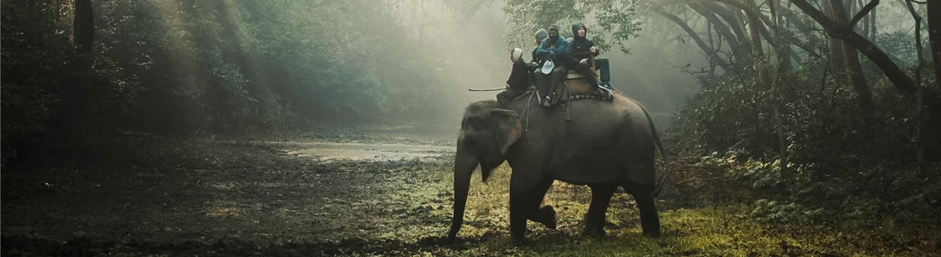  Koshi Tappu – safari / exploration