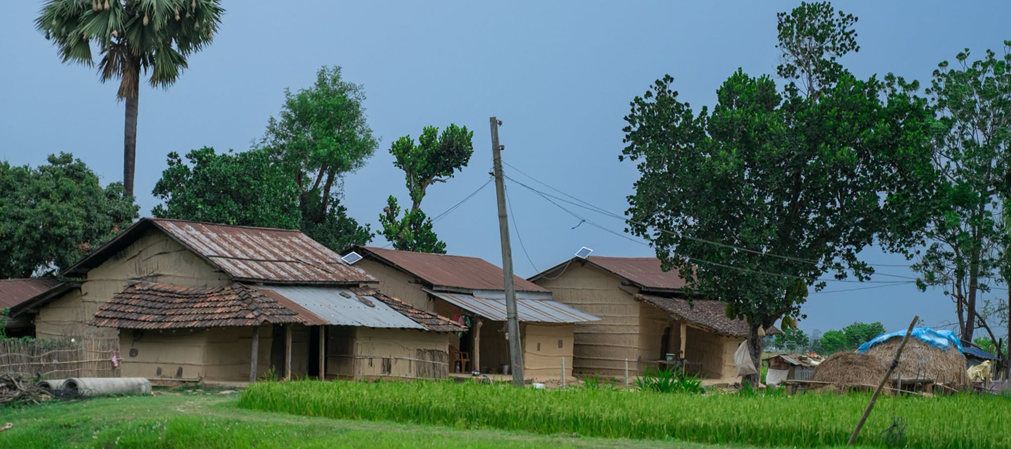  Sauraha – safari optionnel / village Tharu