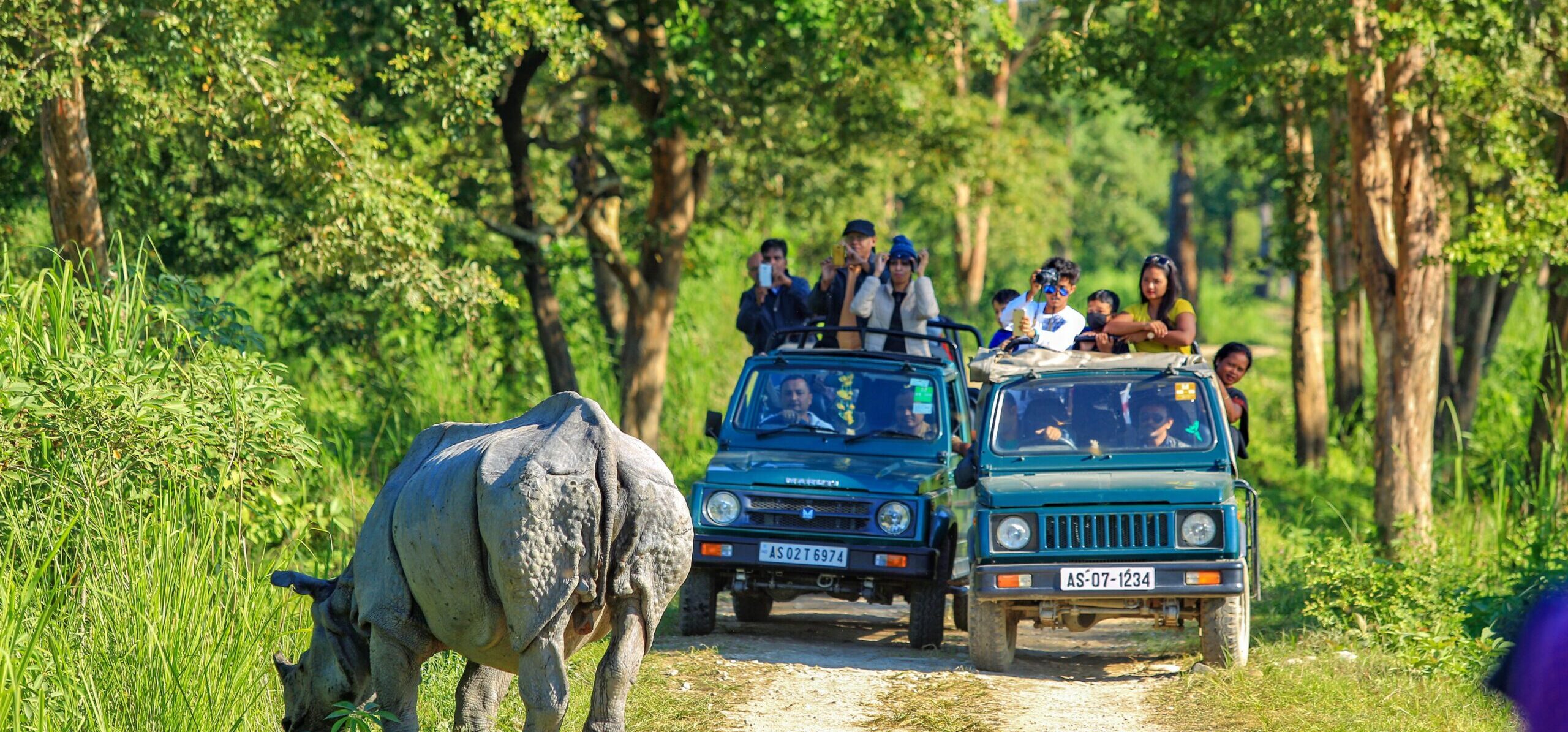 Bardiya National Park safari