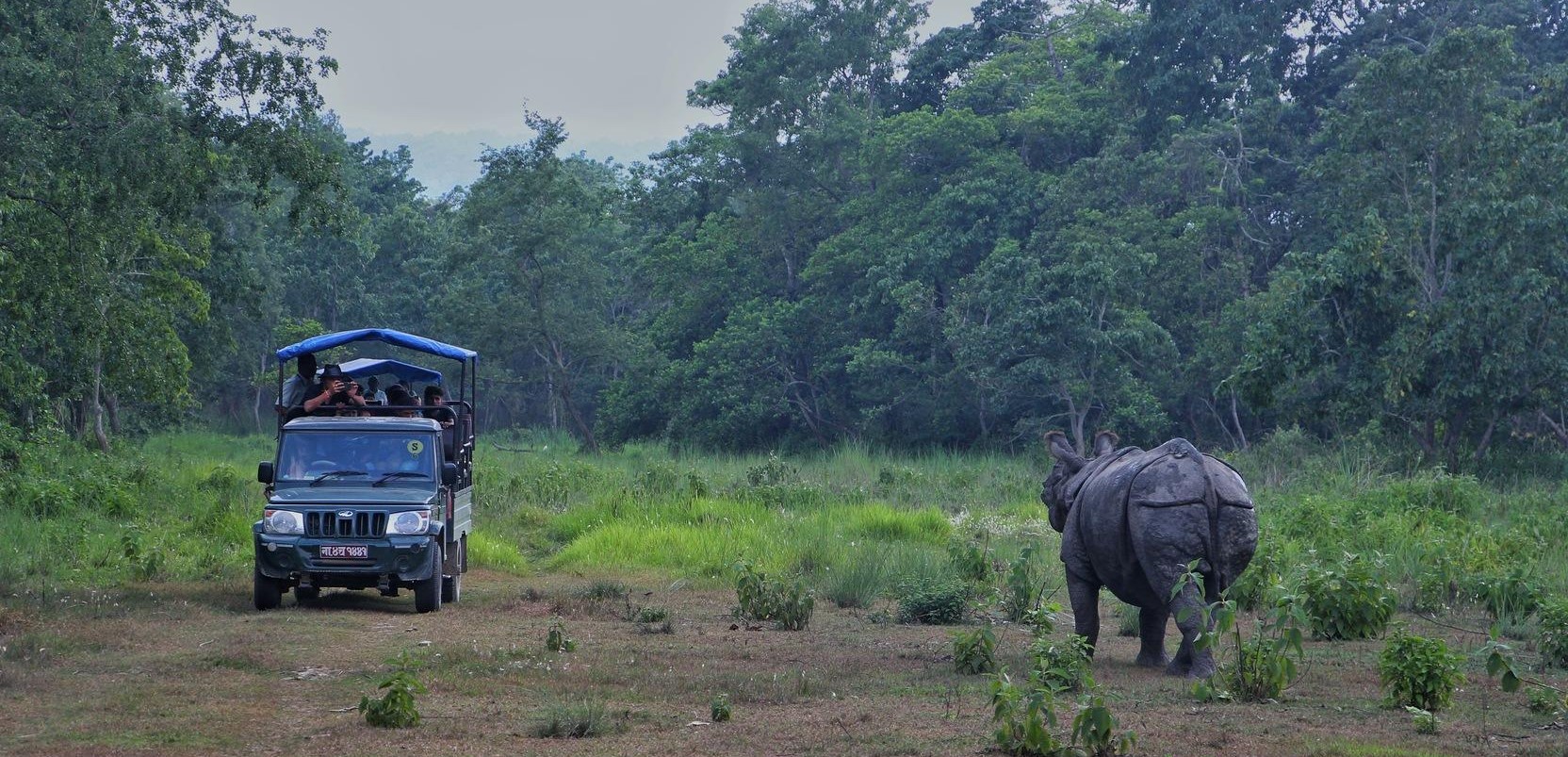 Chitwan safari